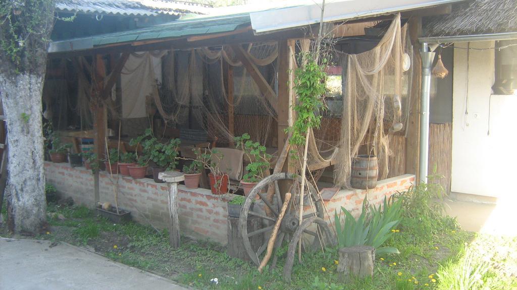 Farm Stay Lackovic Bilje Εξωτερικό φωτογραφία