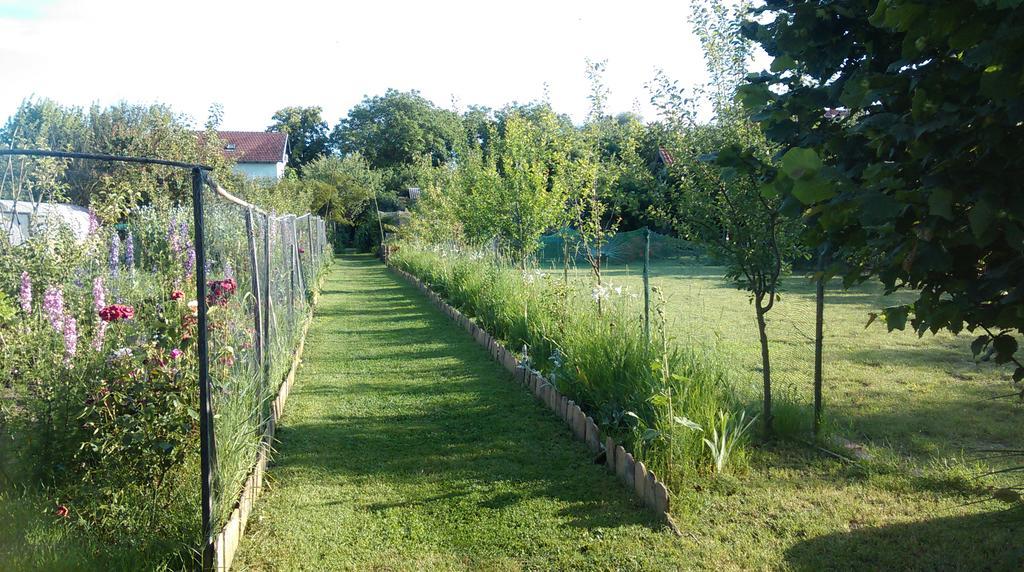 Farm Stay Lackovic Bilje Εξωτερικό φωτογραφία