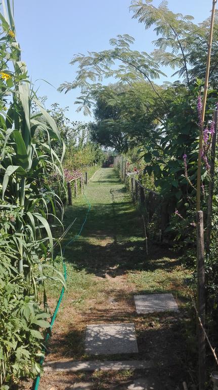 Farm Stay Lackovic Bilje Εξωτερικό φωτογραφία